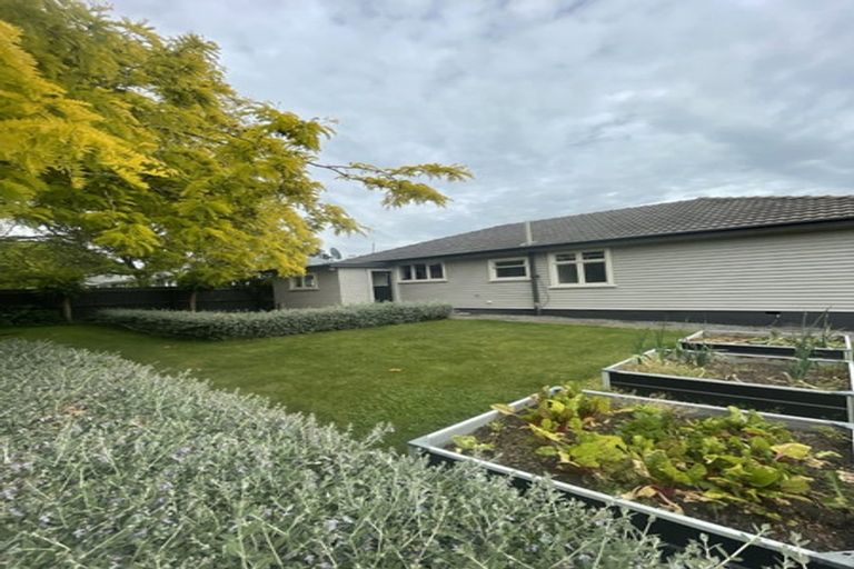 Photo of property in 6 Bellvue Avenue, Papanui, Christchurch, 8053
