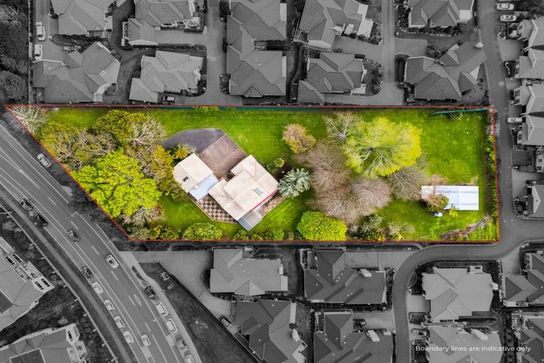 Photo of property in 123 Carmichael Road, Bethlehem, Tauranga, 3110