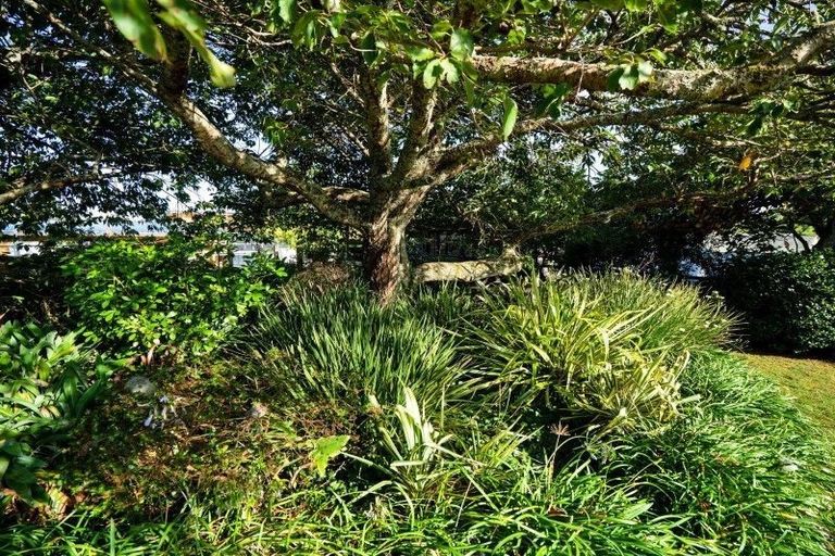 Photo of property in 1266 Egmont Road, Egmont Village, 4372