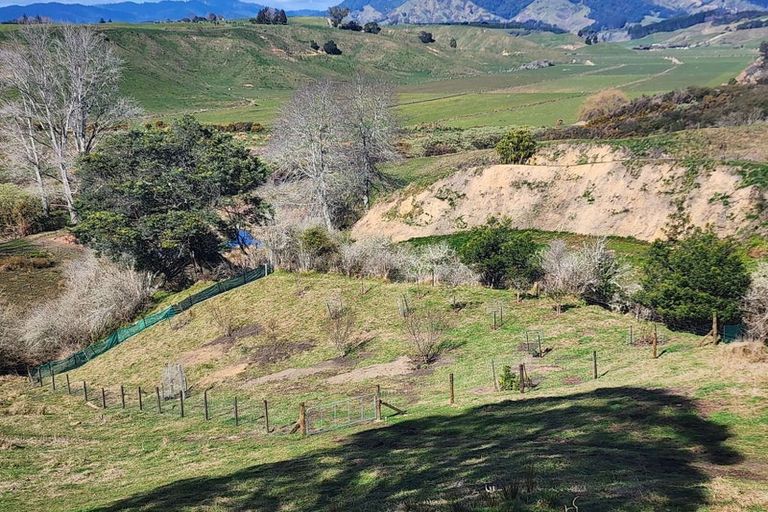 Photo of property in 233 Paerata Ridge Road, Waiotahe, Opotiki, 3198