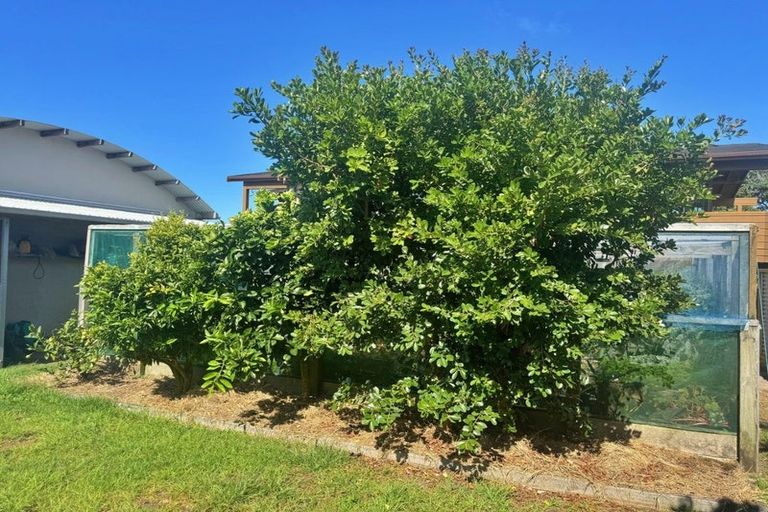 Photo of property in 41 Motutara Drive, Karikari Peninsula, 0483
