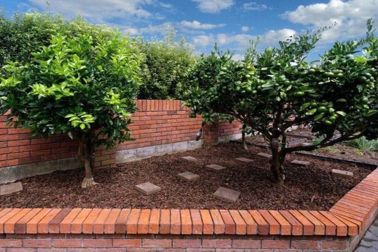 Photo of property in 7 Central Park Drive, Te Atatu South, Auckland, 0610