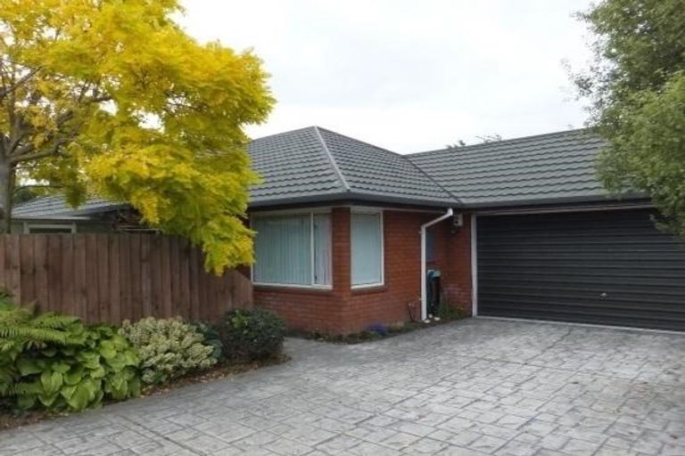Photo of property in 113a Hoon Hay Road, Hoon Hay, Christchurch, 8025