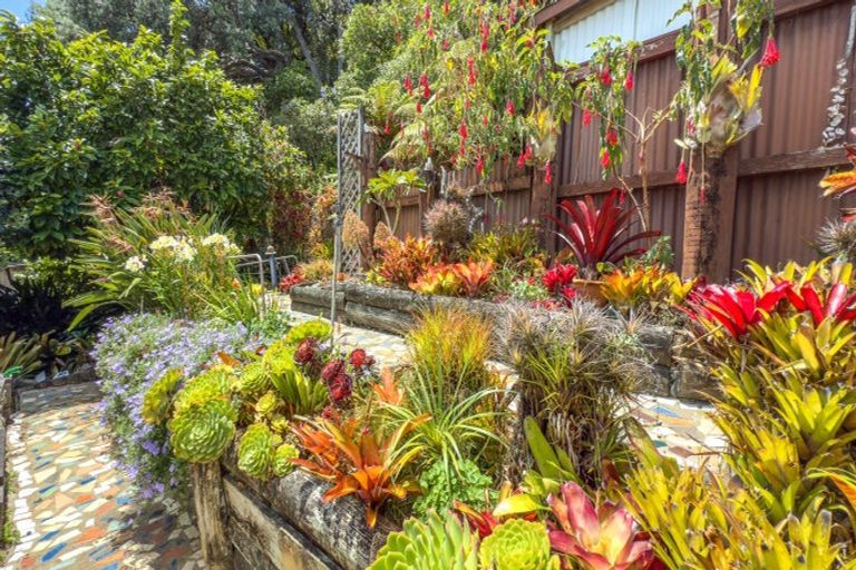 Photo of property in 314 Thames Coast Sh25 Road, Thornton Bay, Thames, 3575