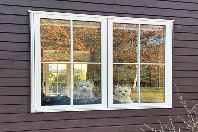 Photo of property in 83 Bradys Road, Loburn, Rangiora, 7472