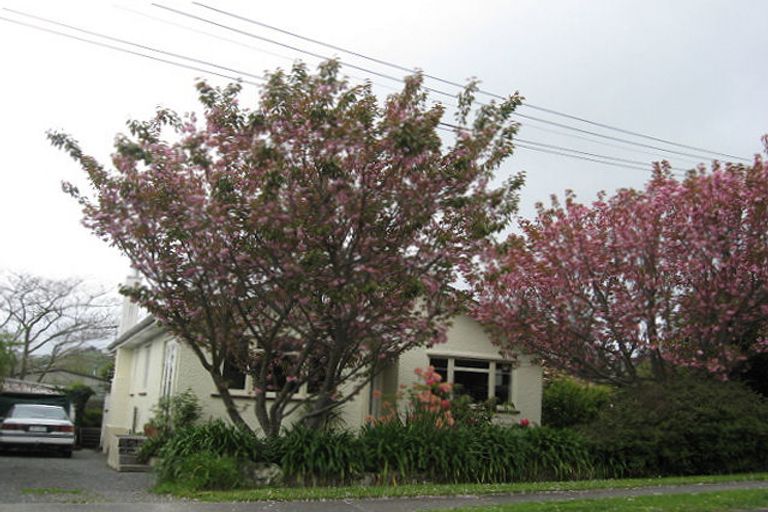 Photo of property in 13 Mules Street, Stoke, Nelson, 7011