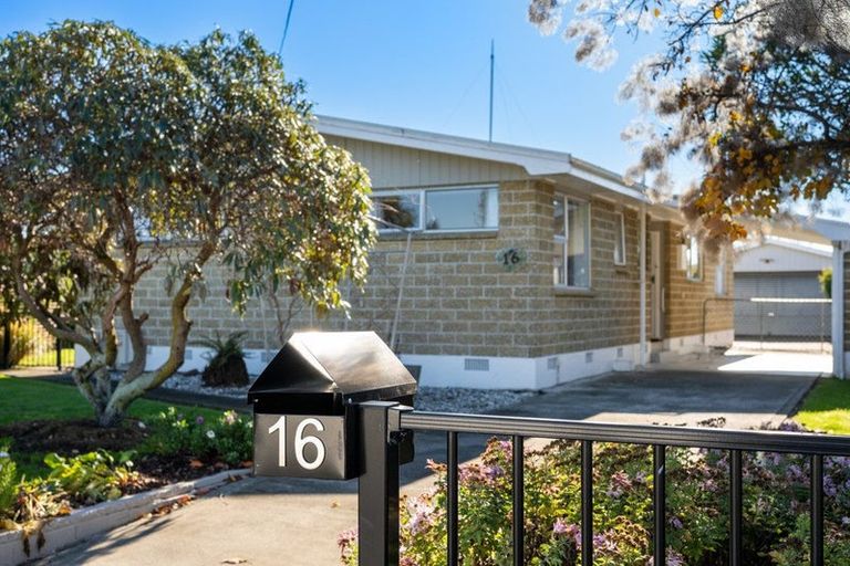 Photo of property in 16 Gilbert Street, Witherlea, Blenheim, 7201