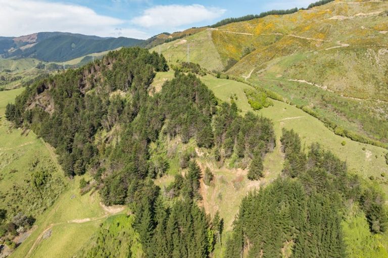 Photo of property in 14 Hillplough Heights, Richmond, 7020