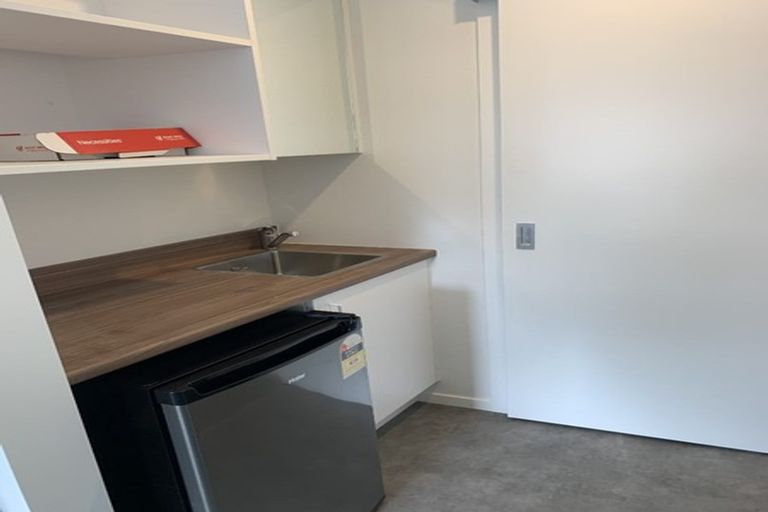 Photo of property in 11u4 Edgecumbe Street, Whitiora, Hamilton, 3200