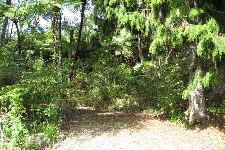 Photo of property in 38 Whatipu Road, Huia, Auckland, 0604