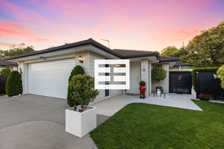 Photo of property in 17 Hansard Place, Bethlehem, Tauranga, 3110