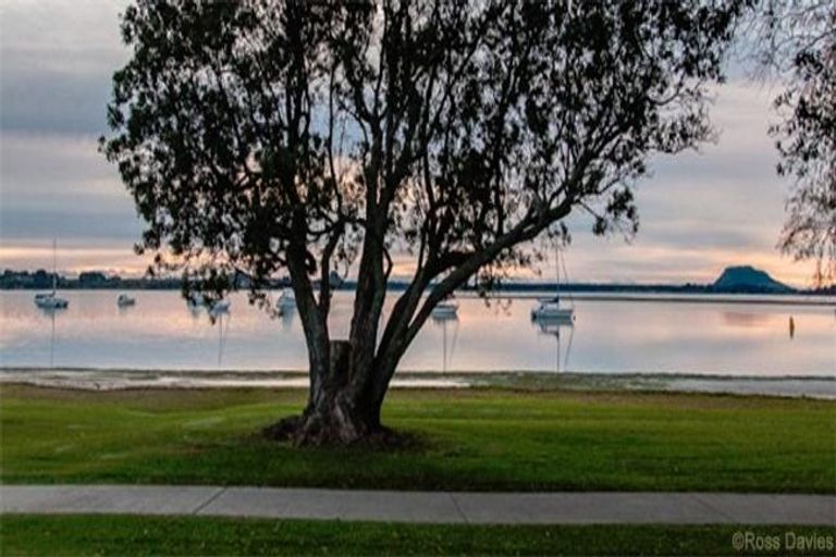 Photo of property in 38 Triplefin Avenue, Omokoroa, 3114