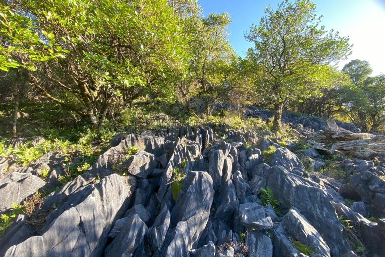 Photo of property in 742 Rameka Creek Road, East Takaka, Takaka, 7183