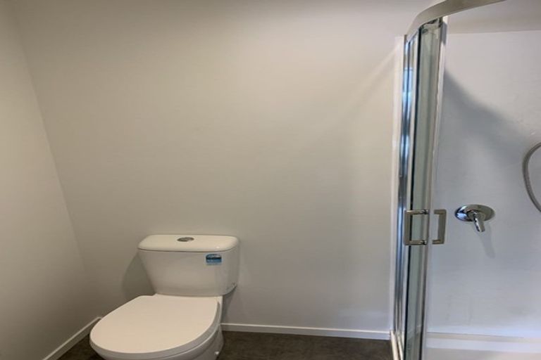 Photo of property in 11u4 Edgecumbe Street, Whitiora, Hamilton, 3200