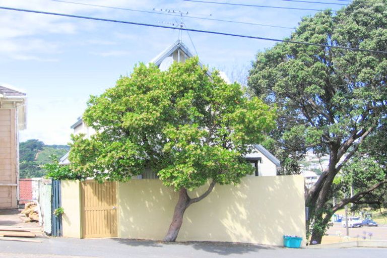 Photo of property in 91 Wright Street, Mount Cook, Wellington, 6021