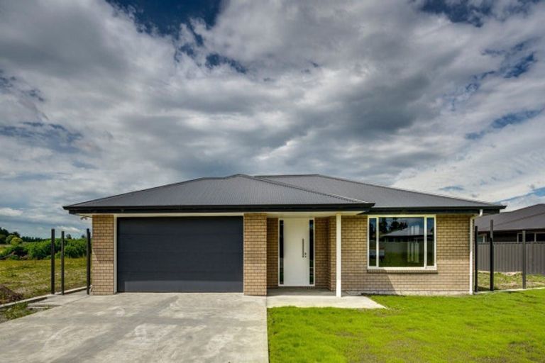Photo of property in 98 Belgrove Drive, Waipukurau, 4200