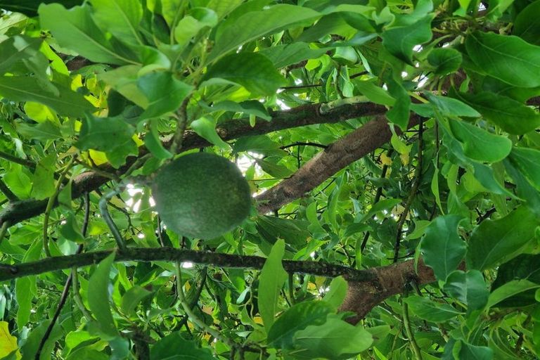 Photo of property in 143 Torquay Street, Kaikoura, 7300