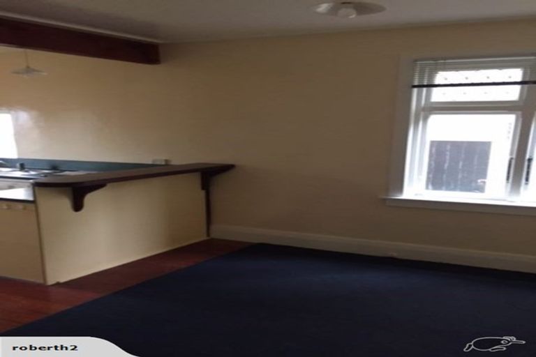 Photo of property in 17 Hargreaves Street, Mount Cook, Wellington, 6021