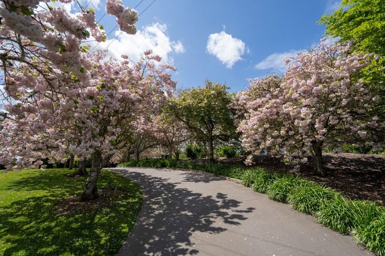 Photo of property in 80 Maungakawa Road, Cambridge, 3496