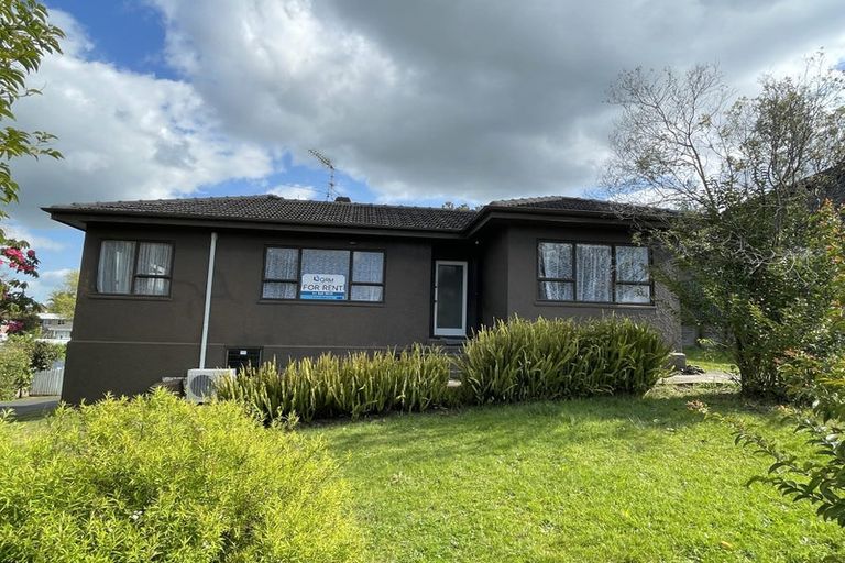 Photo of property in 22 Mansel Avenue, Hillcrest, Hamilton, 3216