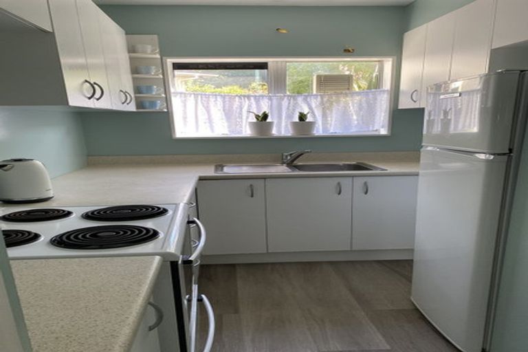 Photo of property in 161u2 Glenmore Street, Kelburn, Wellington, 6012
