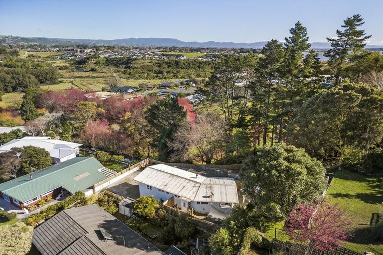Photo of property in 11 Graham Place, Bellevue, Tauranga, 3110