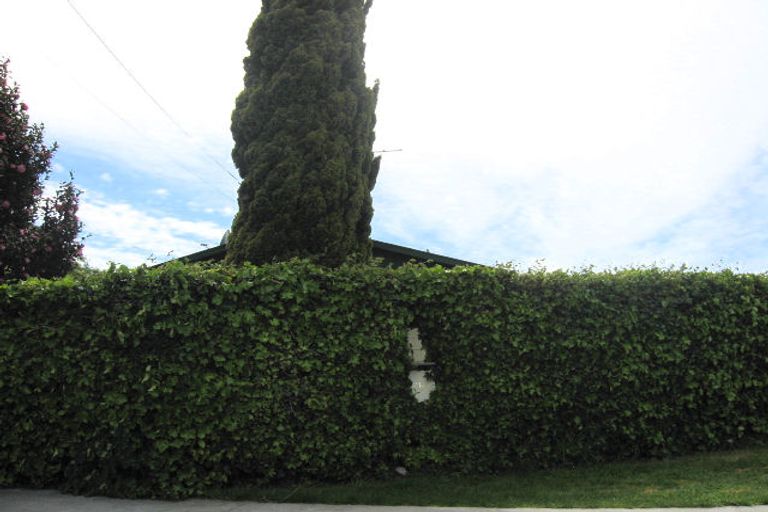 Photo of property in 21a Howick Road, Blenheim, 7201