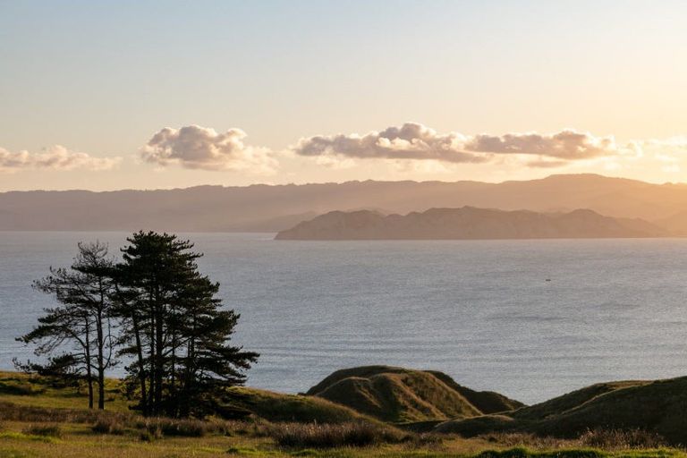 Photo of property in 611b Wainui Road, Kaiti, Gisborne, 4010