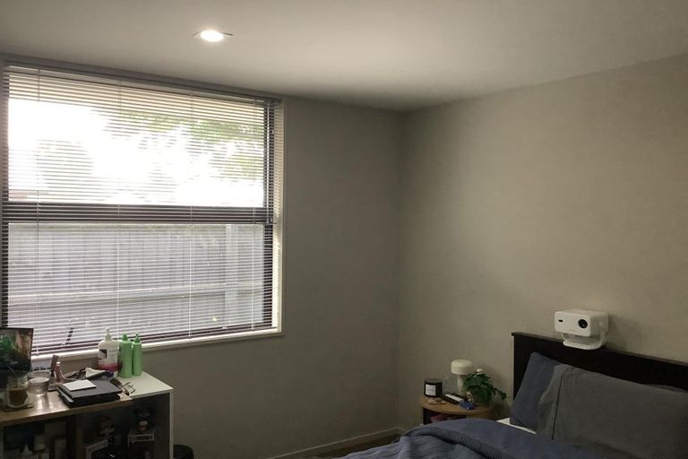 Photo of property in 3b The Oval, Hillmorton, Christchurch, 8024