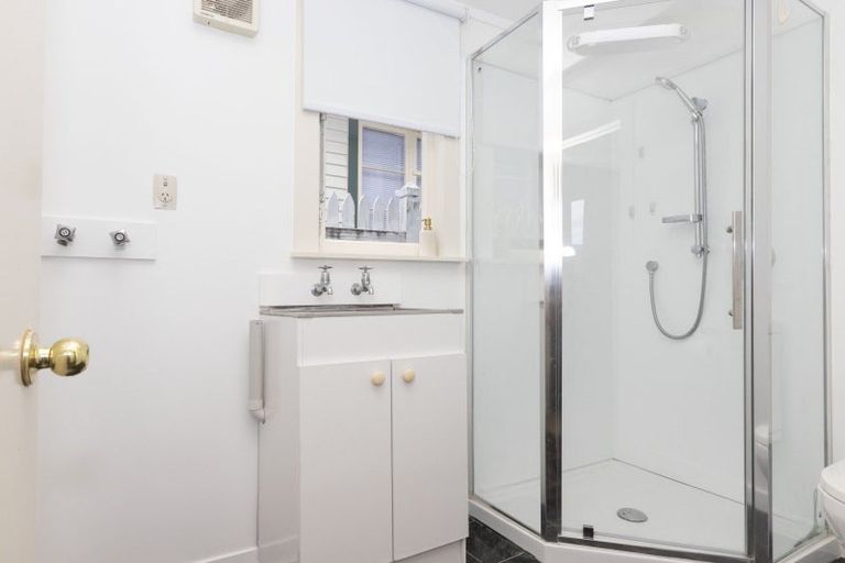 Photo of property in 60 Albert Street, Palmerston North, 4414