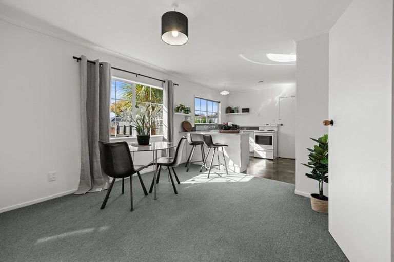 Photo of property in 10a Ihle Street, Terrace End, Palmerston North, 4410