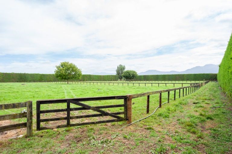 Photo of property in 1503 Alexandra Road, Waharoa, 3474