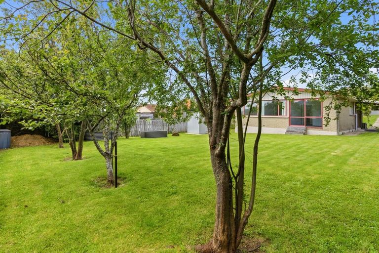 Photo of property in 290 Brockville Road, Brockville, Dunedin, 9011