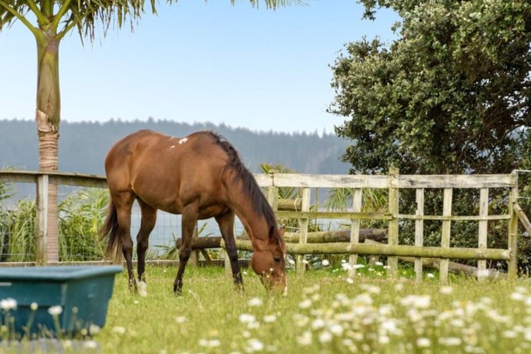 Photo of property in 181 Ngatai Road, Otumoetai, Tauranga, 3110