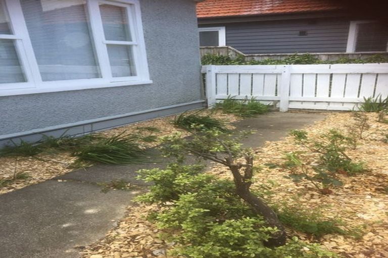 Photo of property in 14 Freyberg Street, Roslyn, Palmerston North, 4414