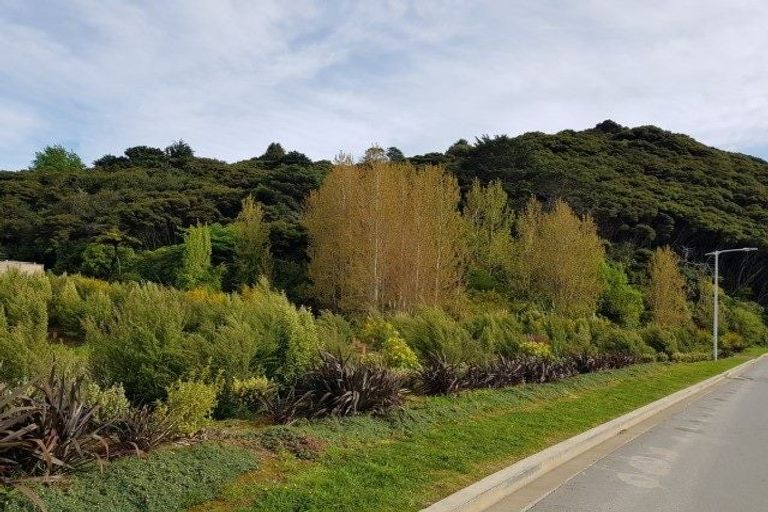 Photo of property in 64 Tradewinds Drive, Whitby, Porirua, 5024
