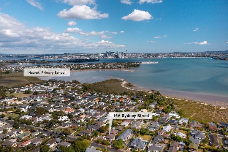 Photo of property in 16 Sydney Street, Hauraki, Auckland, 0622