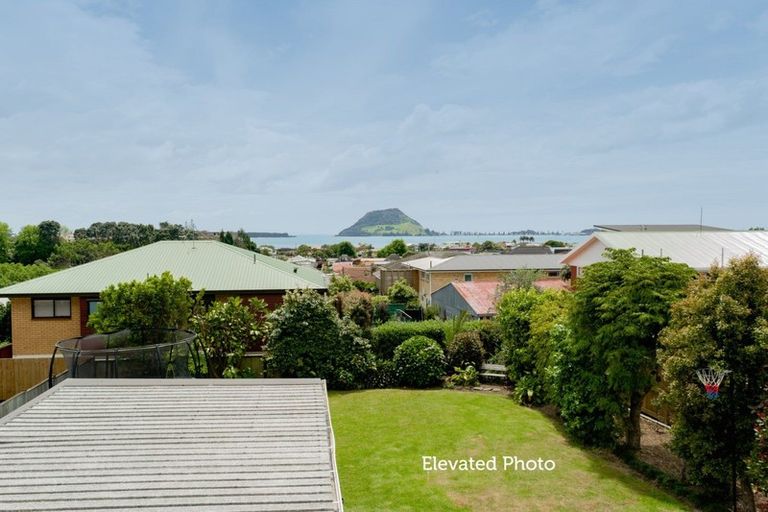 Photo of property in 24 Rushton Avenue, Otumoetai, Tauranga, 3110