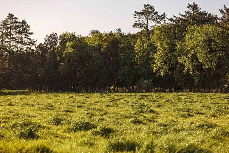 Photo of property in 10 Wallbank Way, Mangawhai, Wellsford, 0975