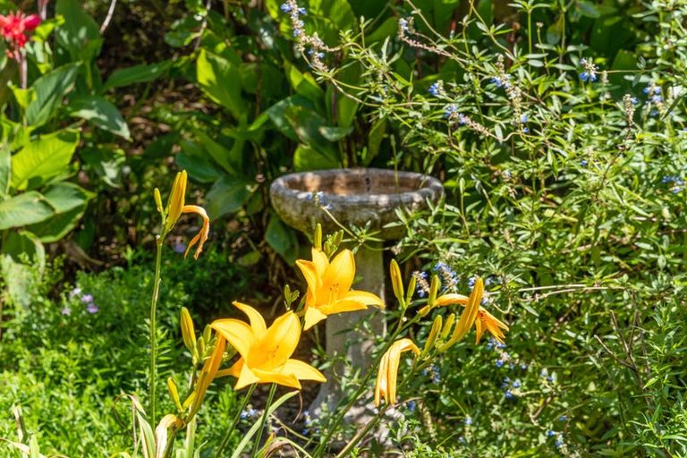 Photo of property in 204 Omaha Valley Road, Big Omaha, Warkworth, 0985