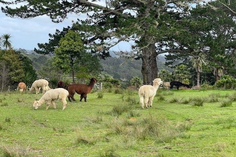 Photo of property in 255 Okura River Road, Okura, Albany, 0792