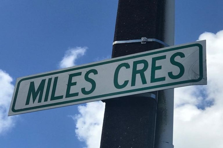 Photo of property in 52 Miles Crescent, Newlands, Wellington, 6037