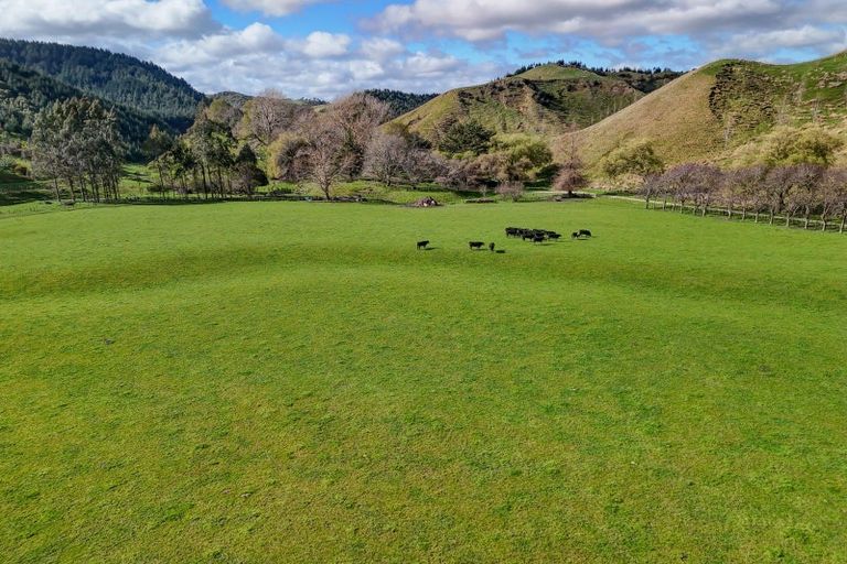 Photo of property in 1584 Brunswick Road, Kai Iwi, Whanganui, 4578