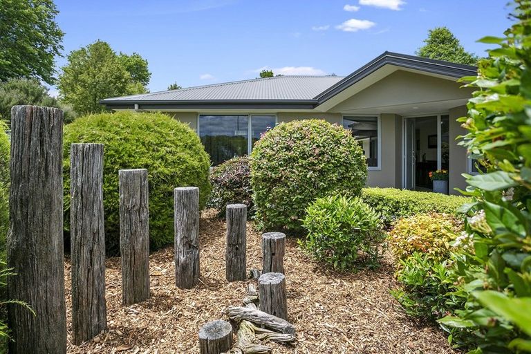 Photo of property in 20 Grace Avenue, Leamington, Cambridge, 3432