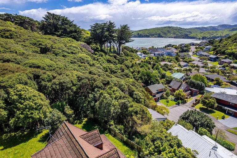 Photo of property in 77 Ayton Drive, Whitby, Porirua, 5024