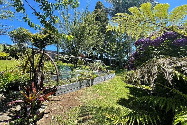 Photo of property in 67 Mountain View Road, Otorohanga, 3900