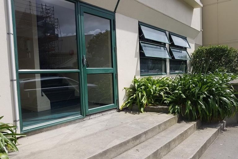 Photo of property in Te Awhina Apartments, 19/22u Sussex Street, Mount Cook, Wellington, 6021