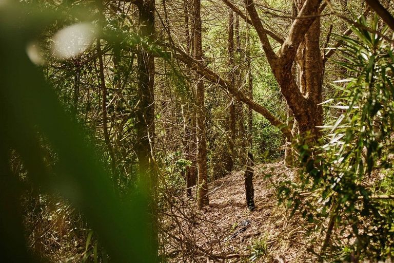 Photo of property in 7r Molloy Rise, Pyes Pa, Tauranga, 3112