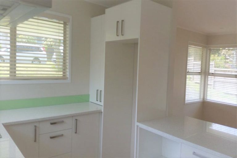 Photo of property in 20 Stanaway Street, Hillcrest, Auckland, 0627