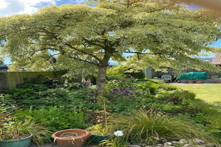 Photo of property in 6 Isaac Wilson Road, Kaiapoi, 7630